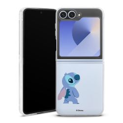 Skyddskal genomskinlig