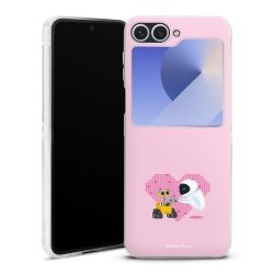 Skyddskal genomskinlig