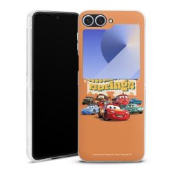 Skyddskal genomskinlig