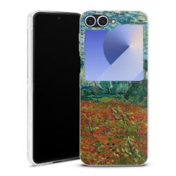 Skyddskal genomskinlig