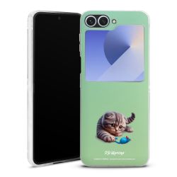 Skyddskal genomskinlig