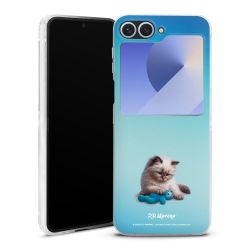 Skyddskal genomskinlig