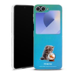 Skyddskal genomskinlig