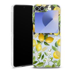 Skyddskal genomskinlig