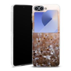 Skyddskal genomskinlig