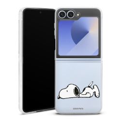 Hard Case transparent