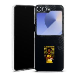 Skyddskal genomskinlig