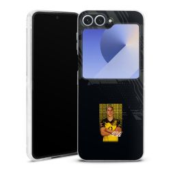 Skyddskal genomskinlig