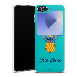 Skyddskal genomskinlig