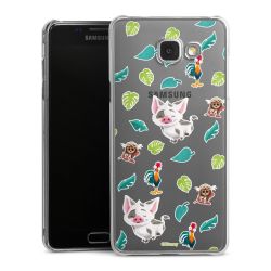 Skyddskal genomskinlig