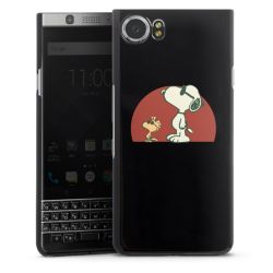 Hard Case black