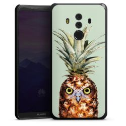 Hibou de l'ananas
