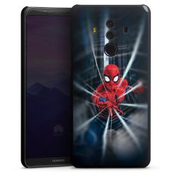 Toile Spider-Man