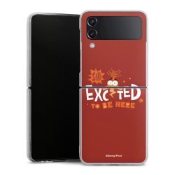 Hard Case transparent