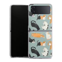 Hard Case transparent