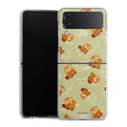 Hard Case transparent