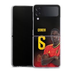 Hard Case transparent