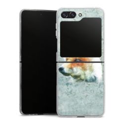 Hard Case transparent