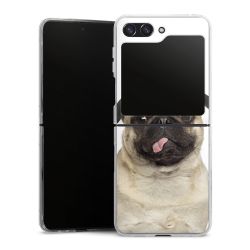 Hard Case transparent