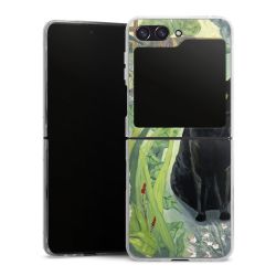 Skyddskal genomskinlig