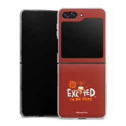 Skyddskal genomskinlig