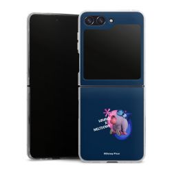 Skyddskal genomskinlig