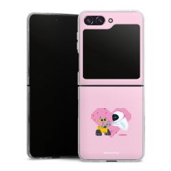 Skyddskal genomskinlig