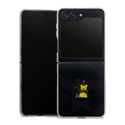 Skyddskal genomskinlig