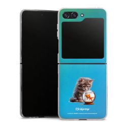 Skyddskal genomskinlig