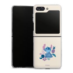 Skyddskal genomskinlig