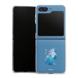 Skyddskal genomskinlig