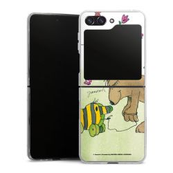 Hard Case transparent