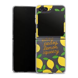 Hard Case transparent