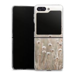 Skyddskal genomskinlig