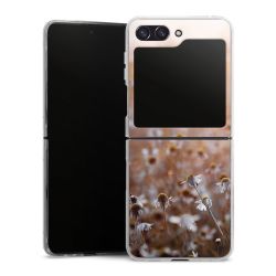 Skyddskal genomskinlig