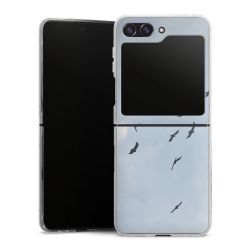 Skyddskal genomskinlig