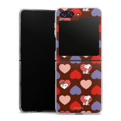 Hard Case transparent