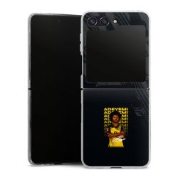 Skyddskal genomskinlig