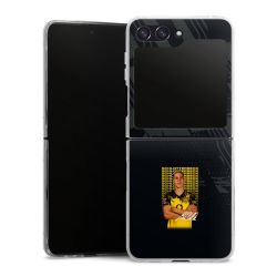 Skyddskal genomskinlig