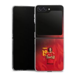 Hard Case transparent