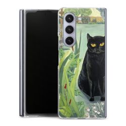 Skyddskal genomskinlig