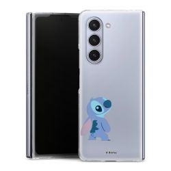 Skyddskal genomskinlig