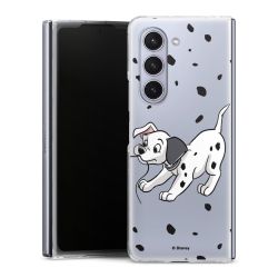 Skyddskal genomskinlig