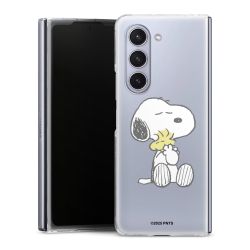 Skyddskal genomskinlig