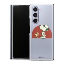 Hard Case transparent