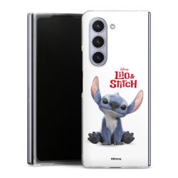 Skyddskal genomskinlig