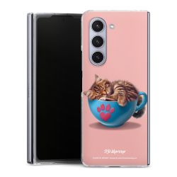 Skyddskal genomskinlig