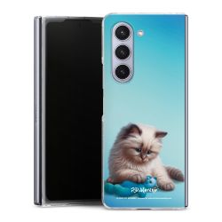 Skyddskal genomskinlig