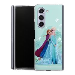 Skyddskal genomskinlig