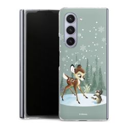 Skyddskal genomskinlig